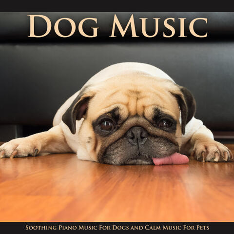 Dog Music: Soothing Piano Music For Dogs and Calm Music For Pets
