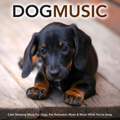 Dog Music: Calm Sleeping Music For Dogs, Pet Relaxation Music & Music While You’re Away