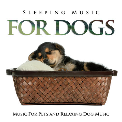 Sleeping Music For Dogs, Music For Pets and Relaxing Dog Music