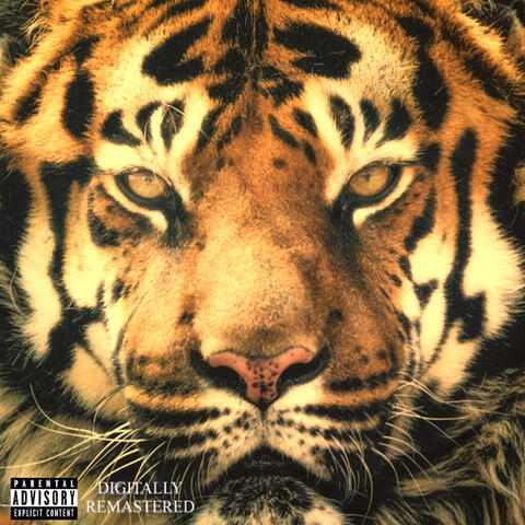 Wild One (Digitally Remastered)