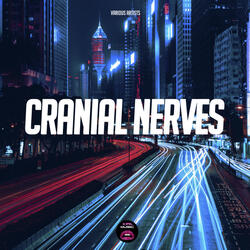 Nervo