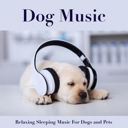 Instrumental Music For Pets While You're Away