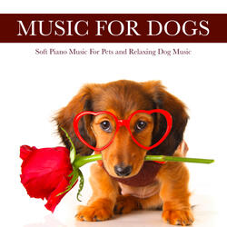 Soothing Piano Music For Dogs