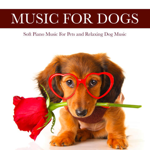 Music For Dogs: Soft Piano Music For Pets and Relaxing Dog Music
