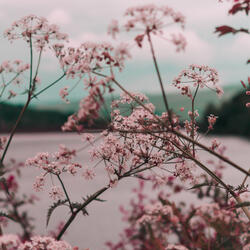 After The Rain
