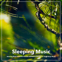 Relaxing Music