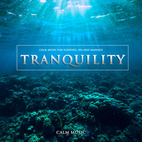 Calm Music & Massage Music & Sleeping Music