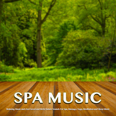 Spa Music: Relaxing Music and Zen Forest and Birds Nature Sounds For Spa, Massage, Yoga, Meditation and Sleep Music