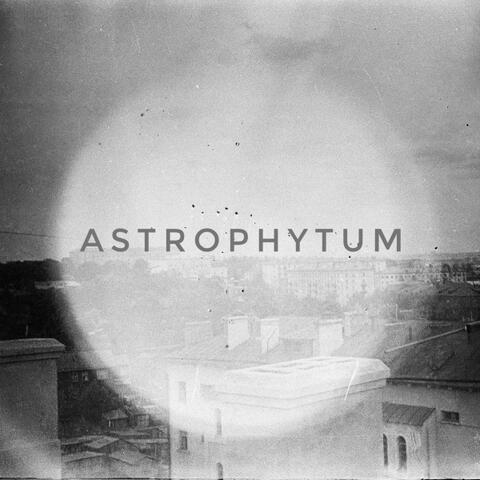 Astrophytum