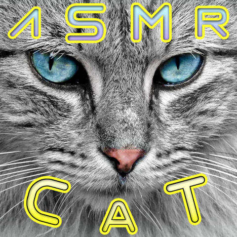 ASMR Cat
