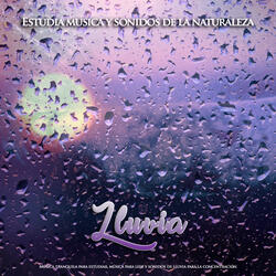 Sonidos de lluvia para estudiar - Estudiar musica