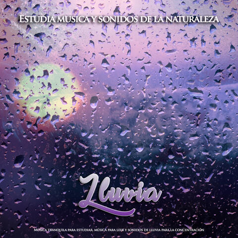 Estudia musica y sonidos de la naturaleza: Música tranquila para estudiar, música para leer y sonidos de lluvia para la concentración