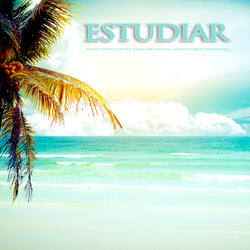 Fur Elise - Beethoven - Estudiar musica - Piano clásico y olas del mar para estudiar