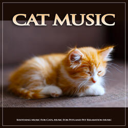 Cat Music For Cats