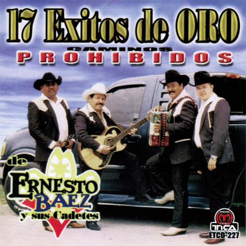 17 Exitos De Oro