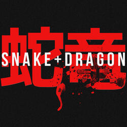 Snake and Dragon