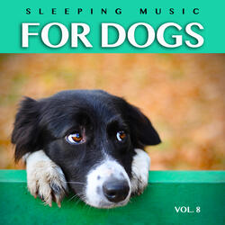 Serene Music for My Dog
