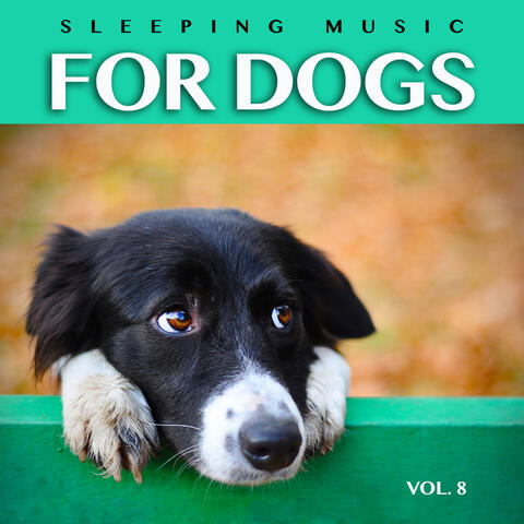 Sleeping Music For Dogs: Calm Dog Music For Dog's Ears and The Best Music For Pets, Vol. 8