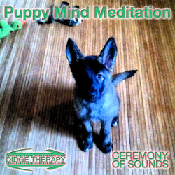 Puppy Mind Meditation (feat. Mark Staley & Joseph B. Carringer)