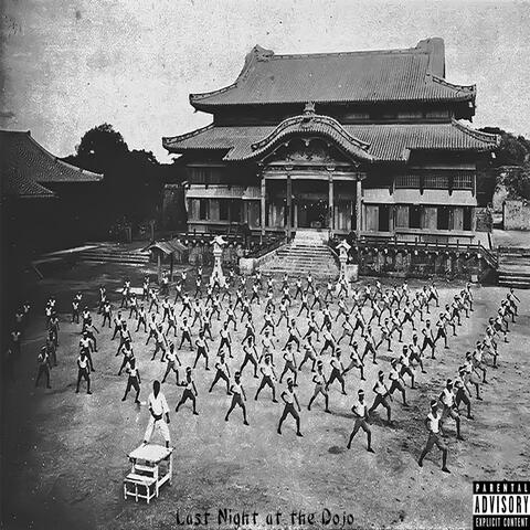 Last Night at the Dojo