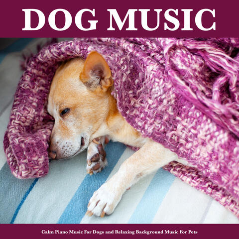 Dog Music: Calm Piano Music For Dogs and Relaxing Background Music For Pets