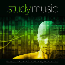 Calm Study Music