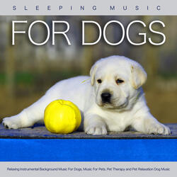 Instrumental Music For Pet Relaxation