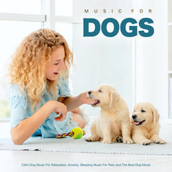 Music For Dogs