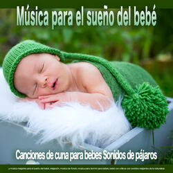 Tranquila Música para bebés