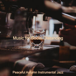 Vibraphone - Music for Working from Home