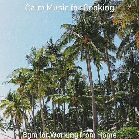 Bgm for Working from Home