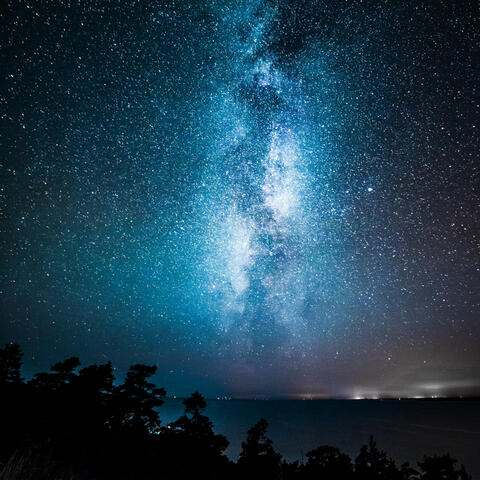 Natural Theme