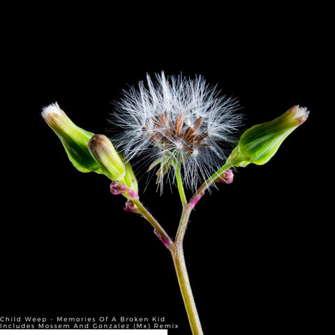 Memories Of A Broken Kid