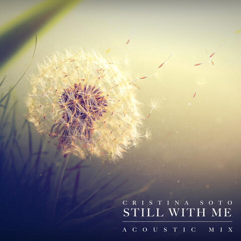 Still With Me