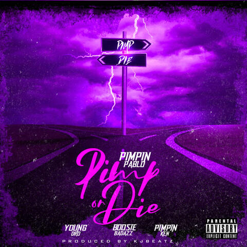 Pimp Or Die (feat. Boosie Badazz, Young Dro & Pimpin Ken)
