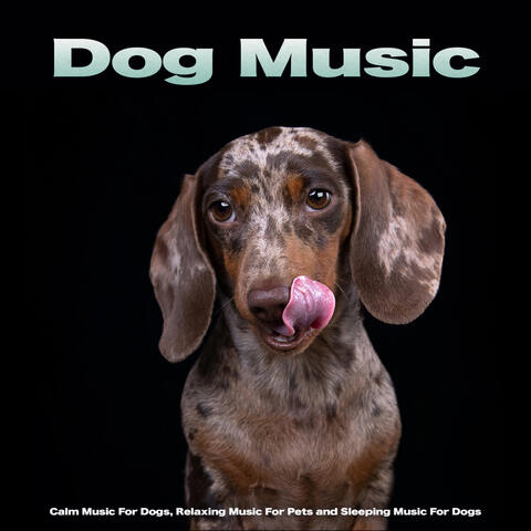 Dog Music: Calm Music For Dogs, Relaxing Music For Pets and Sleeping Music For Dogs