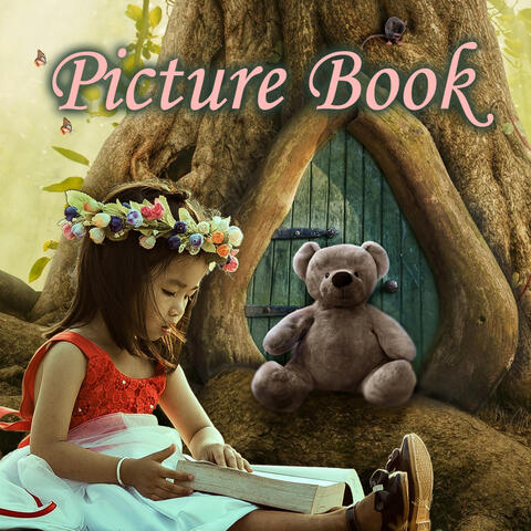 Picture Book