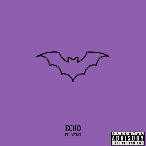 Echo (feat. Daylyt)