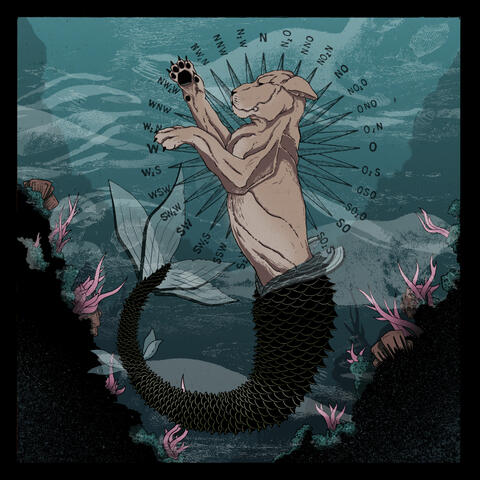 Songs of the Sealion