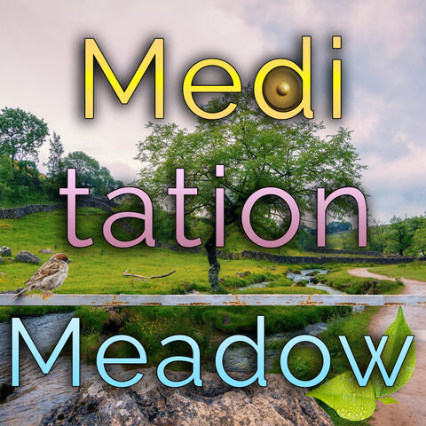 Meditation Meadow