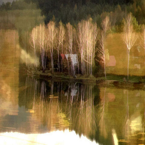 Reflections
