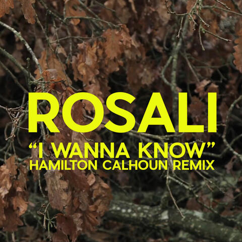 I Wanna Know