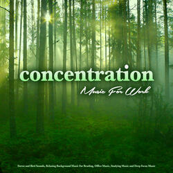 Soothing Office Music and Bird Sounds