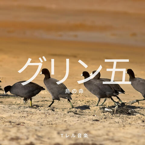 鳥の命
