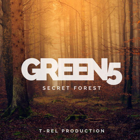 Secret Forest