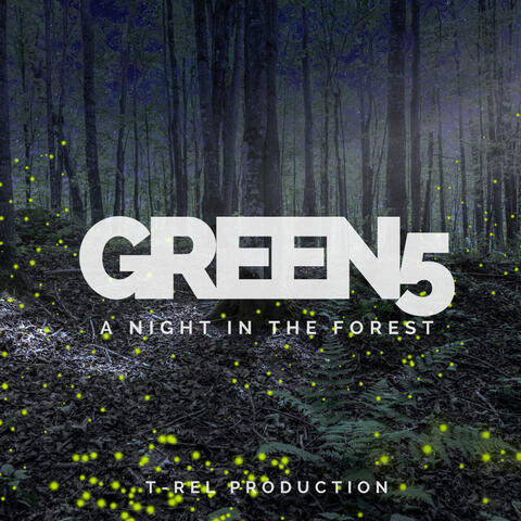 A Night In The Forest