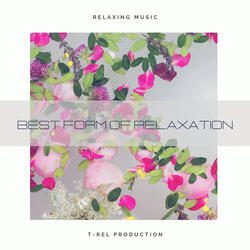 Fan Sounds For Stress Relief