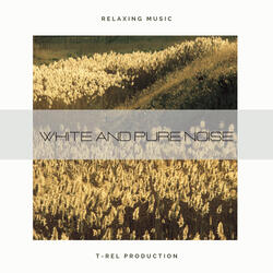 White Noise Black Screen