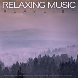 Calm and Relaxing Music