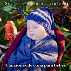 Canciones de bebés